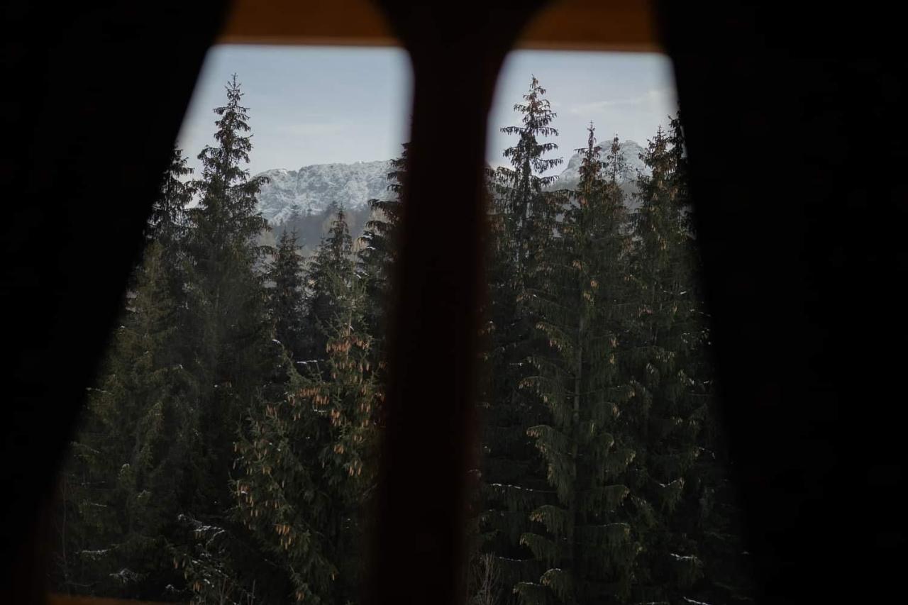 Chata Tatritis Kościelisko Buitenkant foto